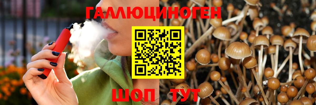 Псилоцибиновые грибы Cubensis Кировск